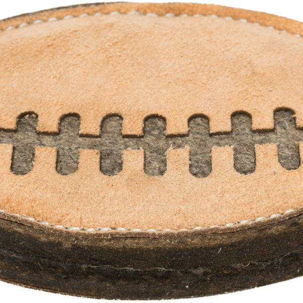 Rugby, hračka pro psy kůže/vlna, 20cm - DOPRODEJ
