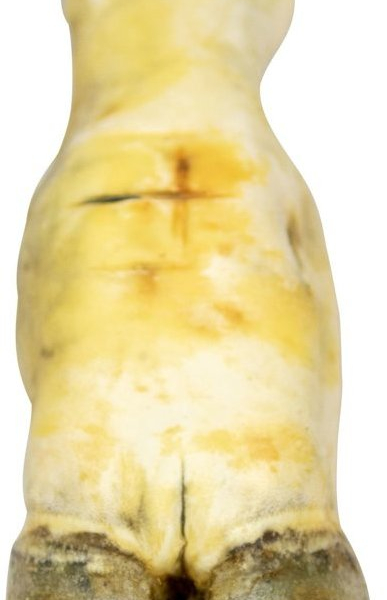 Hovězí noha bílá - 1 ks