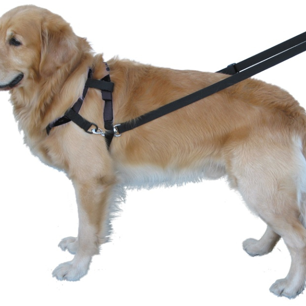 Nobby Top Walk postroj nylon s vodítkem vel. S