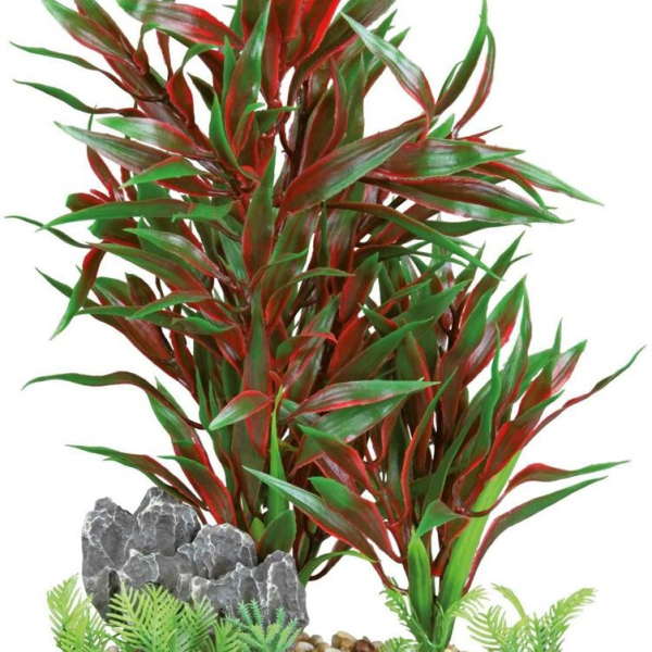 Akvarijní rostlina červenozelená, ve štěrkovém lůžku, plast/polyester, 28 cm - DOPRODEJ