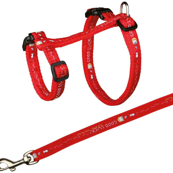Postroj pro kočku s vodítkem XL GOOD LUCK 34-57cm/13mm