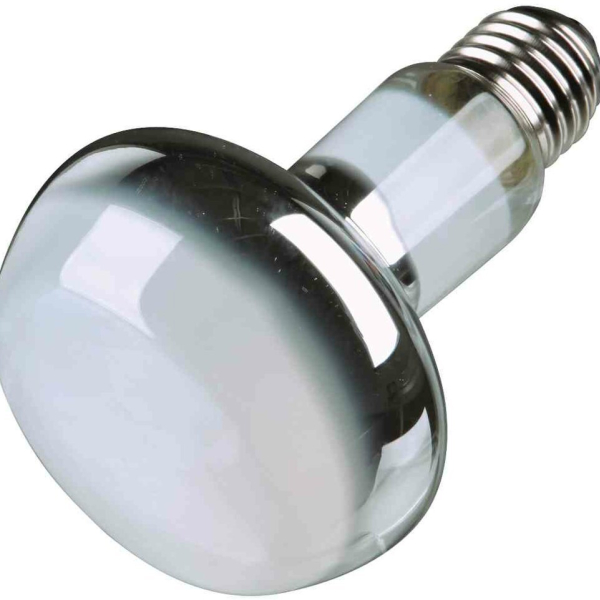 Basking Spot-Lamp (2,10 Kč) - DOPRODEJ