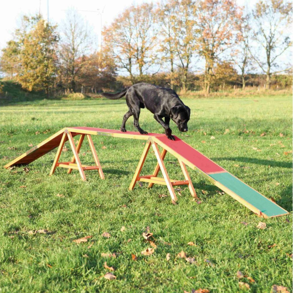 Dog Activity AGILITY nácviková lávka 456x64x30 cm