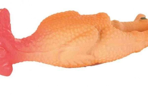 Zakousnutý oškubaný kohoutek 25 cm - TRIXIE