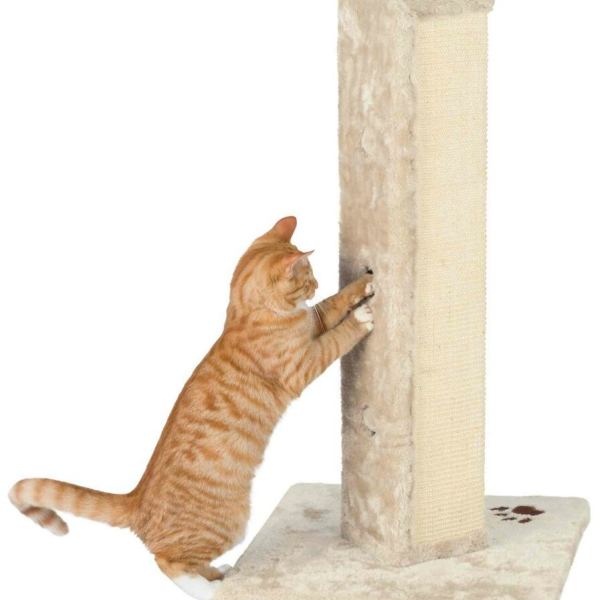 Škrábací sloup SORIA 80cm - béžové