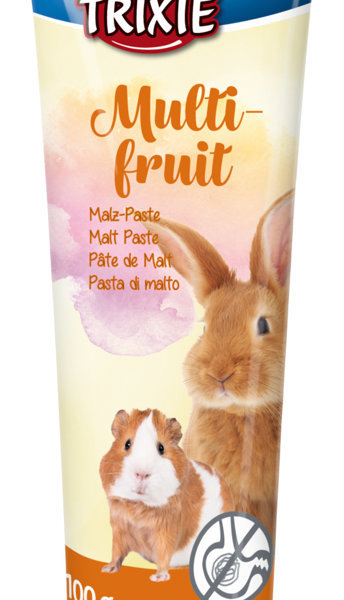 Pasta sladová Multifruit pro hlodavce 100 g