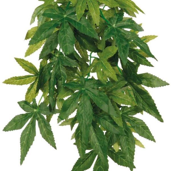 Plastová rostlina 20x30 cm ABUTILON