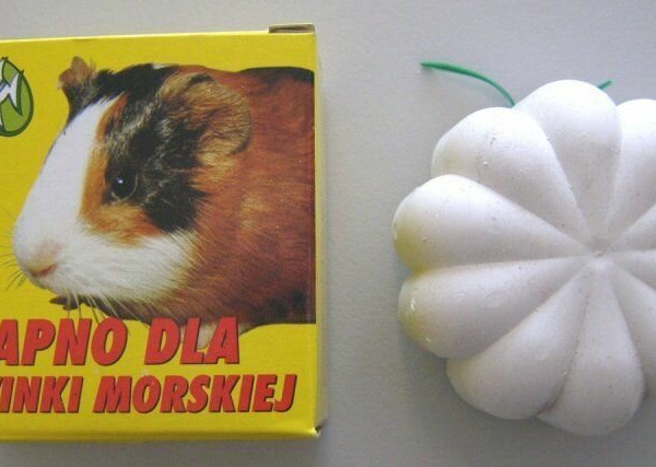 Vápno - cihla pro křečka 35 g (10ks/bal.) FAUNA I FLORA