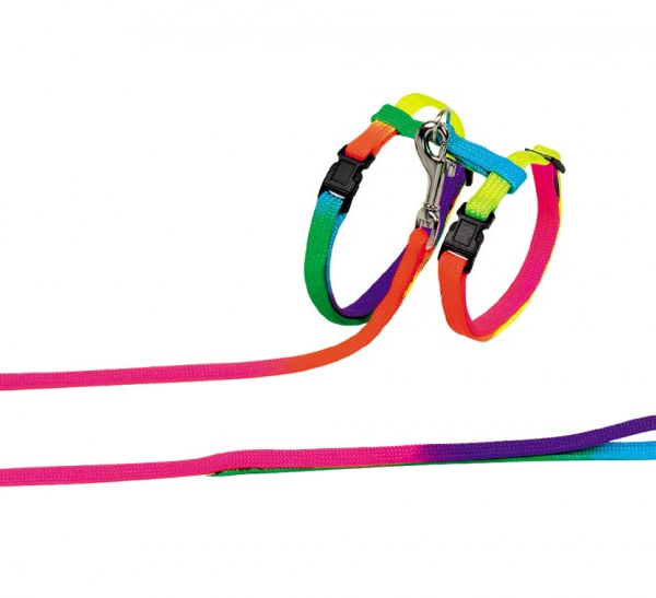 Nobby obojek pro kočku RAINBOW postroj + vodítko