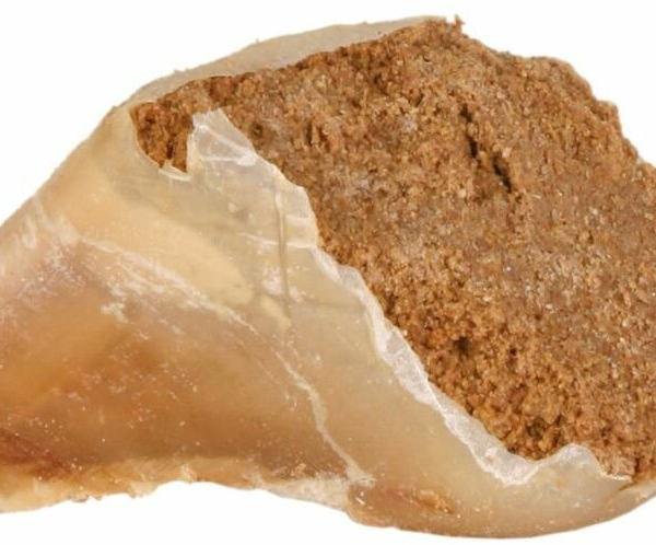 Hovězí kopyto plněné masovou pastou 115g