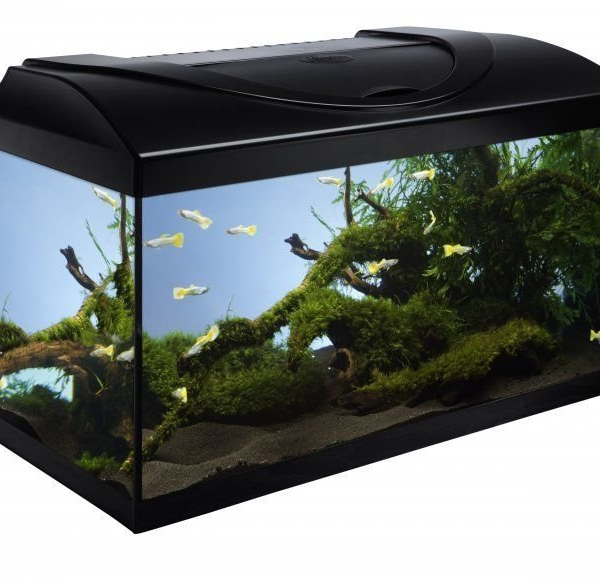 Akvarijní set 80 - černá 80x35x40 cm (RP 2,90 Kč)