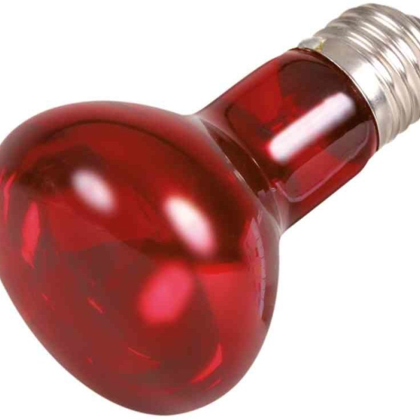 Infrared Heat Spot-Lamp red (RP 2,10 Kč)