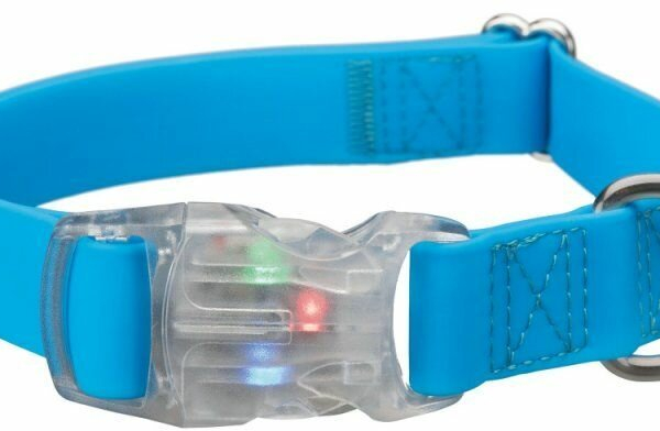 Neonový obojek se svítící karabinou L-XL 40-65 cm/25mm - DOPRODEJ (RP 2,10 Kč)