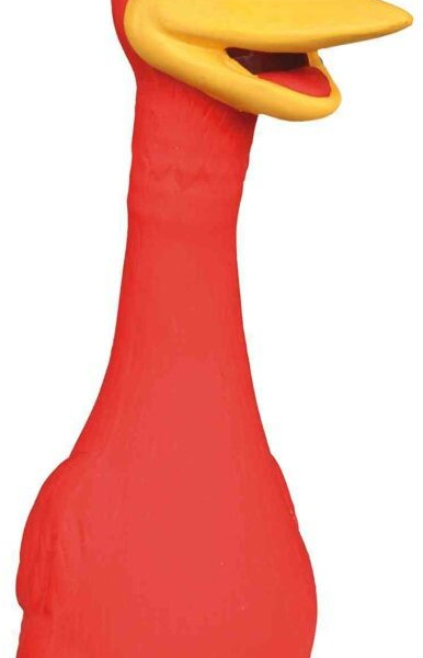 Pták latexový, stojící (různé barvy, motivy) 20 cm
