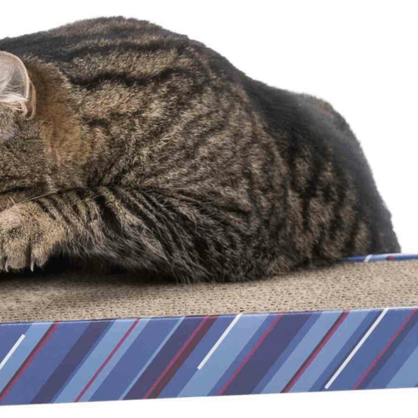 Škrábací karton SCRATCHY s catnipem 13x48cm