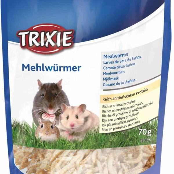 MEALWORMS, mouční červi sušení