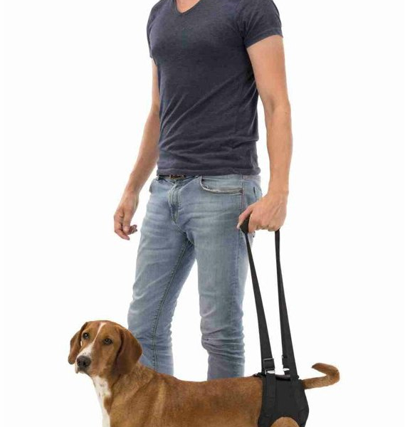 Podpůrná pomůcka k chůzi M 55-65 cm černá