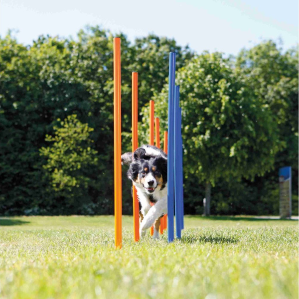 AGILITY Slalom, tyče 12ks