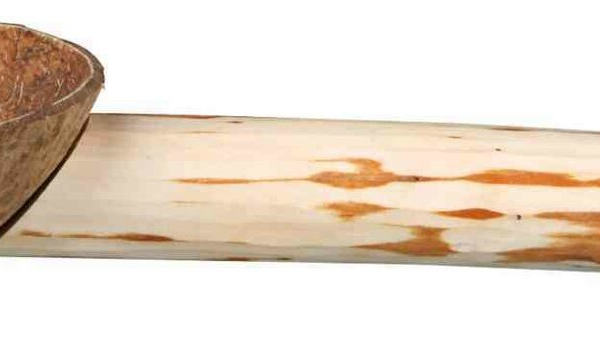 Dřevěné bidýlko s kokosovou miskou 25cm/18mm