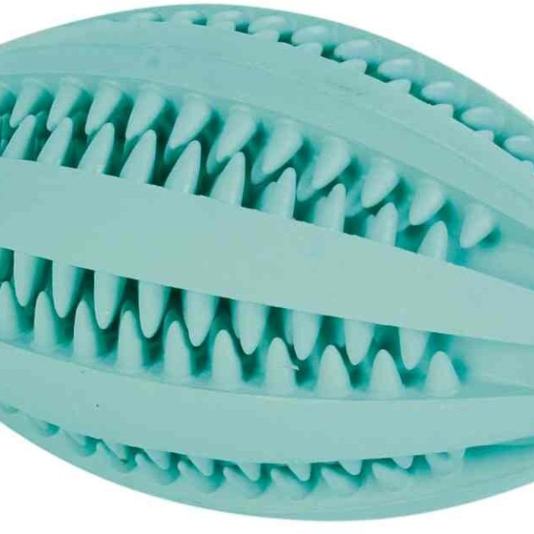 DENTAfun RUGBY míč s mátou 11cm TRIXIE