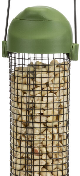 Zásobník na oříšky, 500 ml/22 cm, zelený