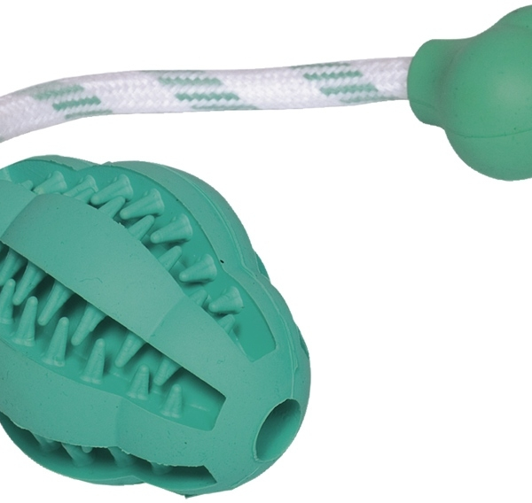 Nobby hračka pro psy Dental Line 9
