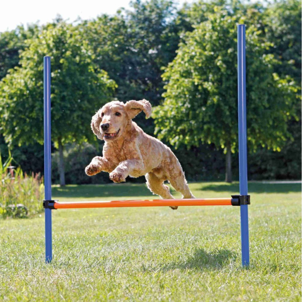 AGILITY překážka, 3 tyče 129x115cm