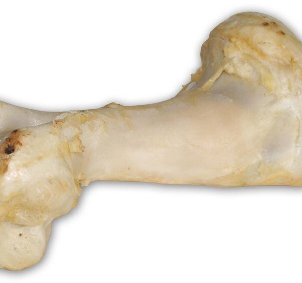 Hovězí kost bílá - extrudovaná 1 ks/36 cm