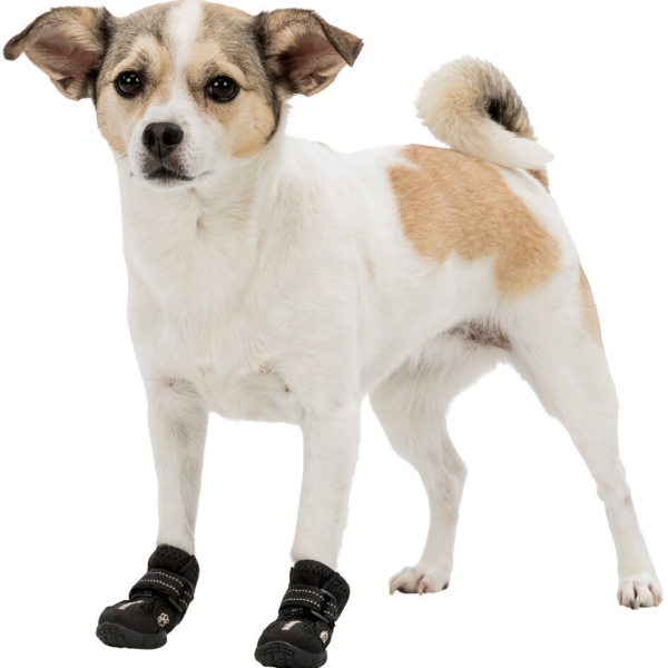 Ochranné boty WALKER ACTIVE S-M 2 ks (jack russell teriér)