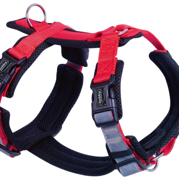 Nobby postroj pro psy DAILY WALK COMFORT L
