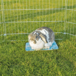 Chladící keramická podložka pro malé hlodavce 28 x 20 cm — Náhled 2 z 5