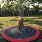 Nobby stříkací bazének Splash Pool — Náhled 1 z 6
