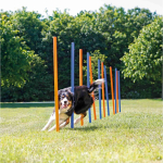 AGILITY Slalom, tyče 12ks — Náhled 3 z 6