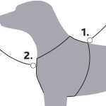Y-postroj Premium, M: 55-70 cm / 20 mm - DOPRODEJ — Náhled 5 z 6