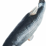 Ryba jako živá, mrskající se, s catnipem, látka, 30cm (RP 0,90 Kč) — Náhled 4 z 6
