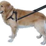 Nobby Top Walk postroj nylon s vodítkem vel. S — Náhled 1 z 2