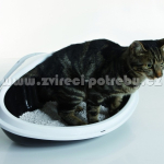 Savic Concha rohová toaleta pro hlodavce 36 x 26,5 — Náhled 6 z 6