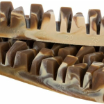 Denta Fun Veggie Jaw Bone [100ks] , kost "čelist" — Náhled 5 z 6