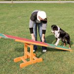 AGILITY houpačka/lávka 300x54x34cm max.do 80kg TRIXIE — Náhled 4 z 4
