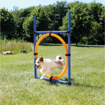 AGILITY kruh proskakovací — Náhled 2 z 2