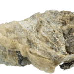 PREMIO Fishies - kalciová kost obtočená rybí kůží 100 g — Náhled 4 z 4
