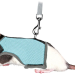 Postroj VESTA s vodítkem pro potkana 12-18cm/1,2m — Náhled 1 z 4