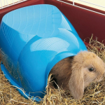 Savic Cocoon plastový domek pro králíky 34,5 x 26,5 x 16 cm — Náhled 3 z 3