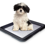 Nobby Doggy Trainer L plastové WC na podložky pro štěňata 62,5 x 48 — Náhled 1 z 2