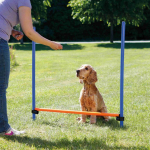 AGILITY překážka, 3 tyče 129x115cm — Náhled 3 z 3