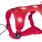 Nobby Flash Mesh LED svíticí postroj vel. M — Náhled 3 z 6