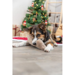 Xmas Bone - vánoční látková kost zdobená s em — Náhled 3 z 6