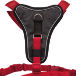 Y-postroj Premium, M: 55-70 cm / 20 mm - DOPRODEJ — Náhled 3 z 6