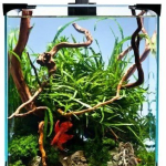 Akvarijní set nano LED 30 30x30x35cm (RP 2,10 Kč) — Náhled 2 z 6