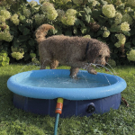 Nobby stříkací bazének Splash Pool 2v1 M 120x30cm — Náhled 4 z 6